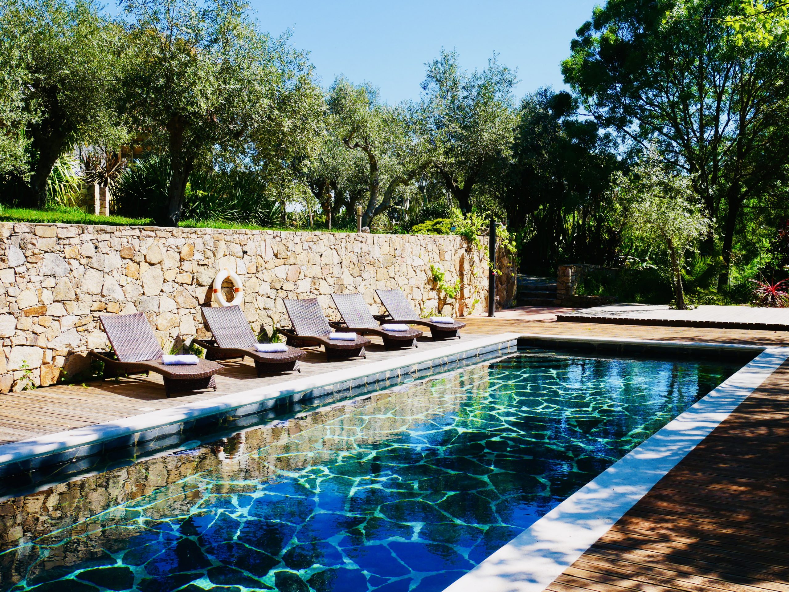 Womens Retreat Vegan Buffet Aljezur Hills